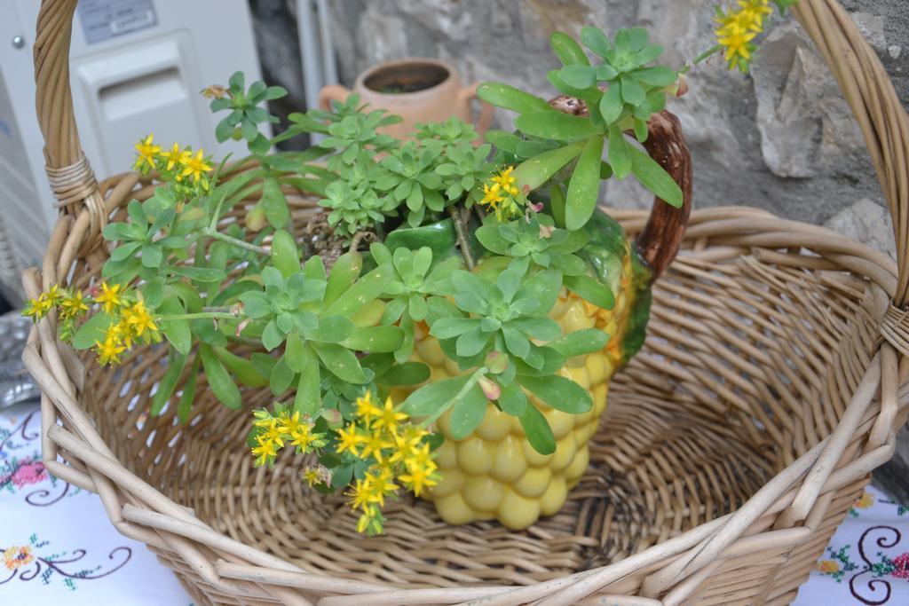Bujtina Kodiket Guesthouse Berat Exteriér fotografie